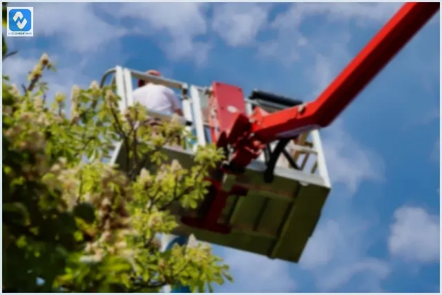 O que é uma plataforma aérea?
