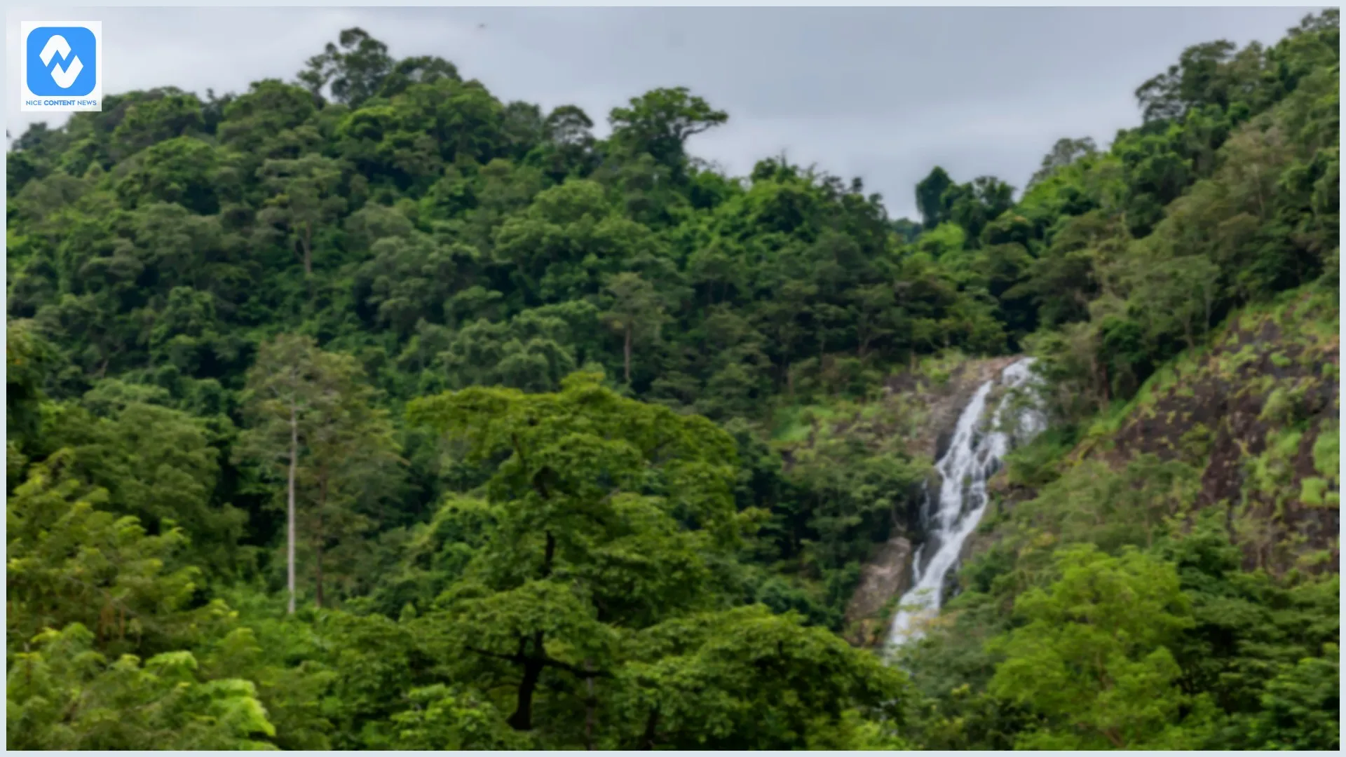 Uma cachoeira vista de longe ao meio das árvores