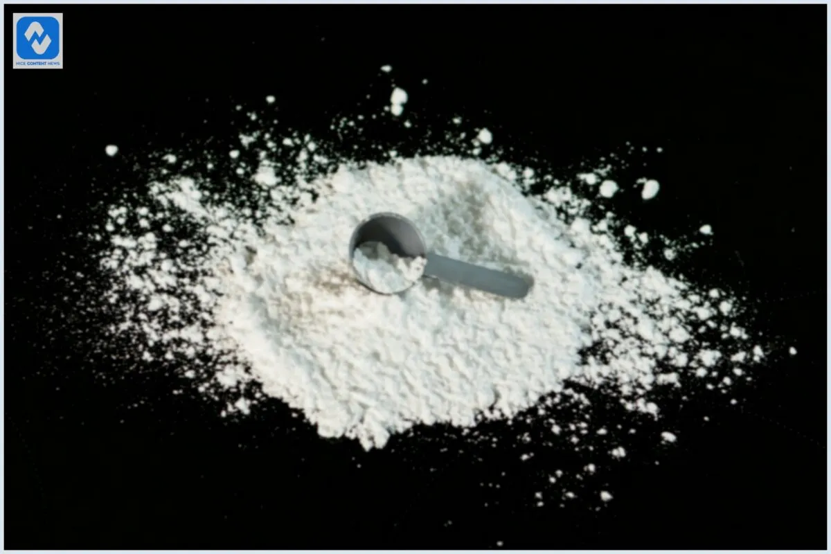 4 Suplementos mais populares atualmente 4 Suplementos mais populares atualmente