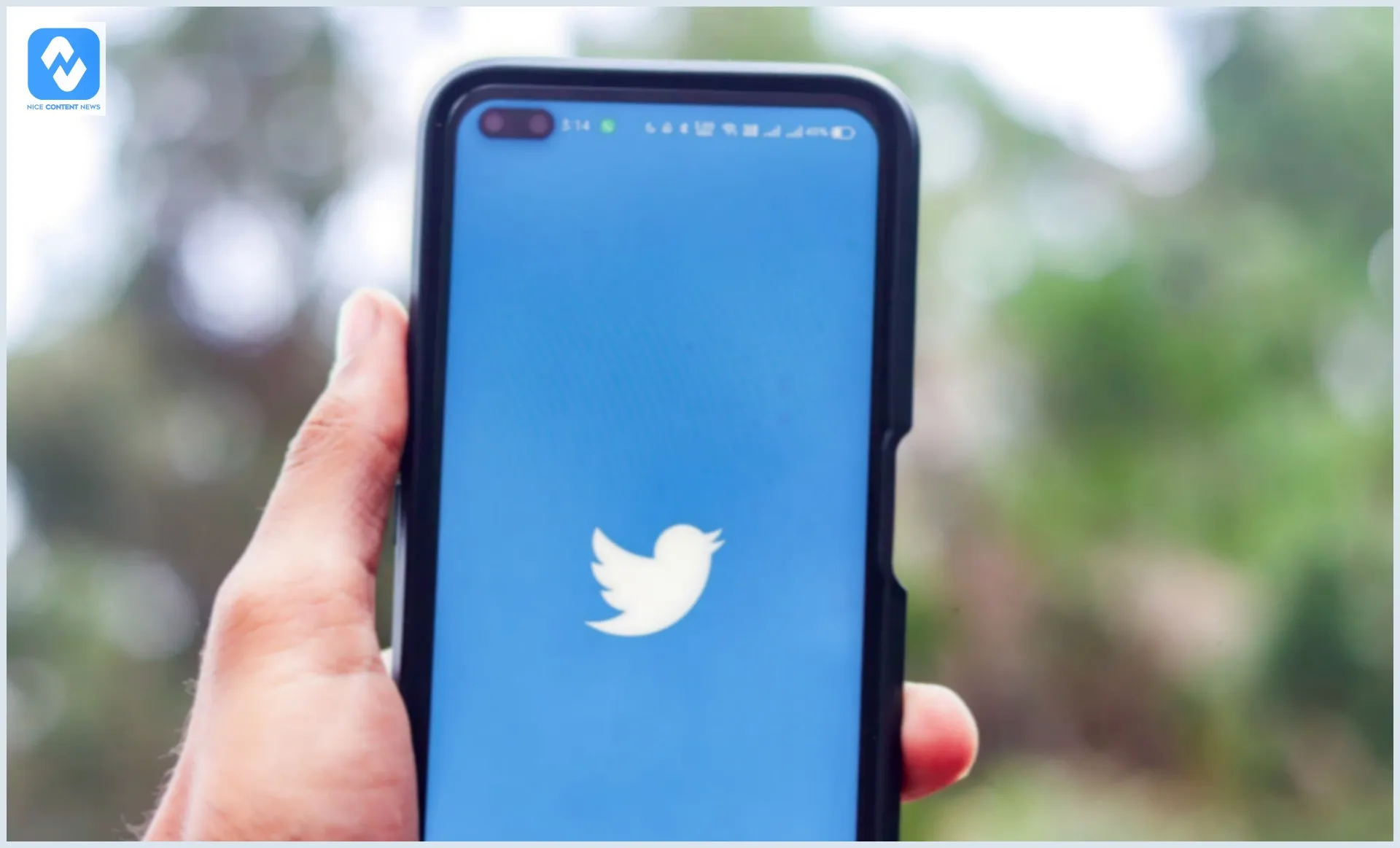 Como baixar vídeo do Twitter? 5 formas