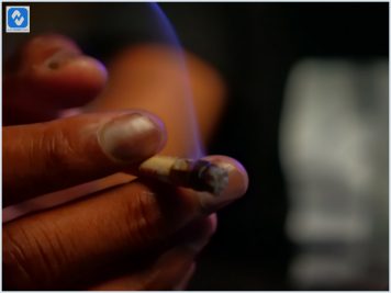 O que é a ibogaína e como o tratamento funciona? O que é a ibogaína e como o tratamento funciona?