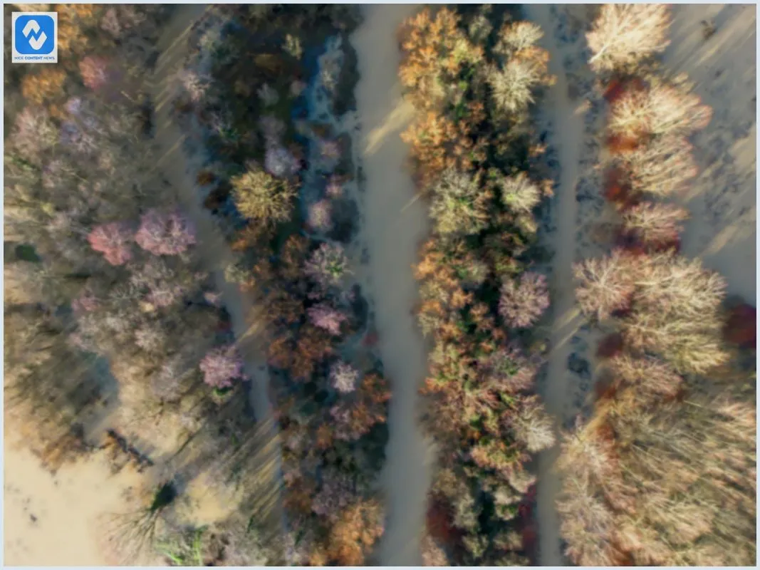 Jardins de memórias: como as flores falam ao coração Jardins de memórias