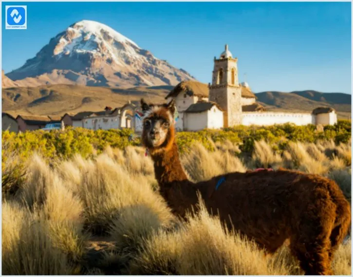 Guia completo de viagem para Bolívia: Explore um Mundo de Possibilidades