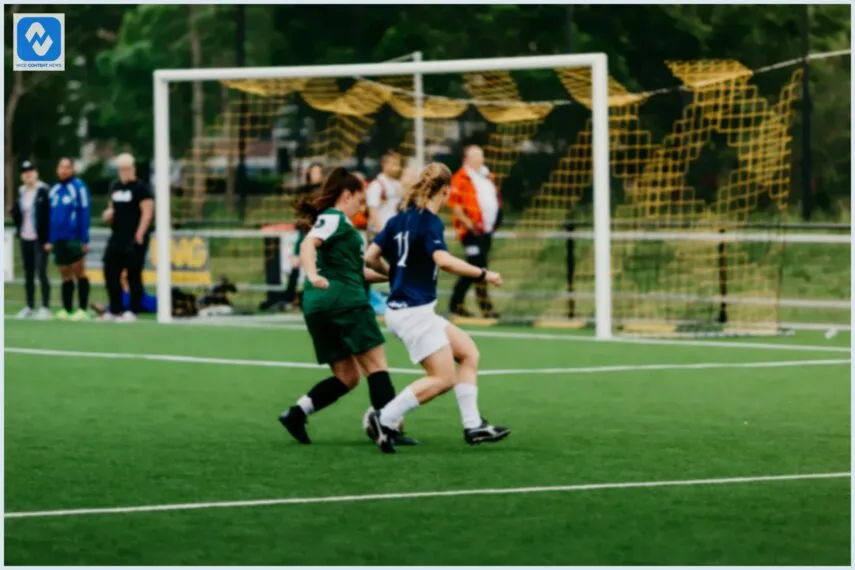 Quem subiu da Série C para B em 2024 Quem subiu da Série C para B em 2024