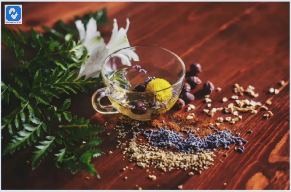 Medicamentos naturais para ajudar na ressaca de fim de ano Medicamentos naturais para ajudar na ressaca de fim de ano