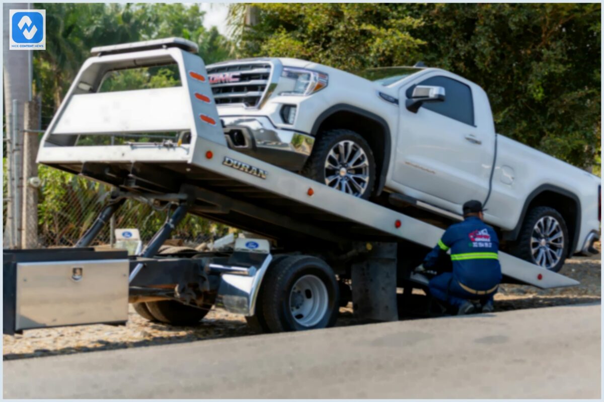 Transporte de Carros Cegonha: Tudo o que Você Precisa Saber