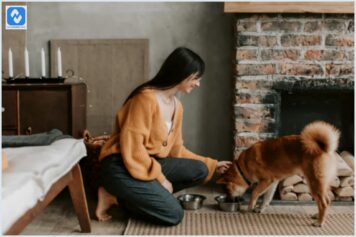 Mudando a rotina alimentar do seu cão com opções mais equilibradas Mudando a rotina alimentar do seu cão com opções mais equilibradas