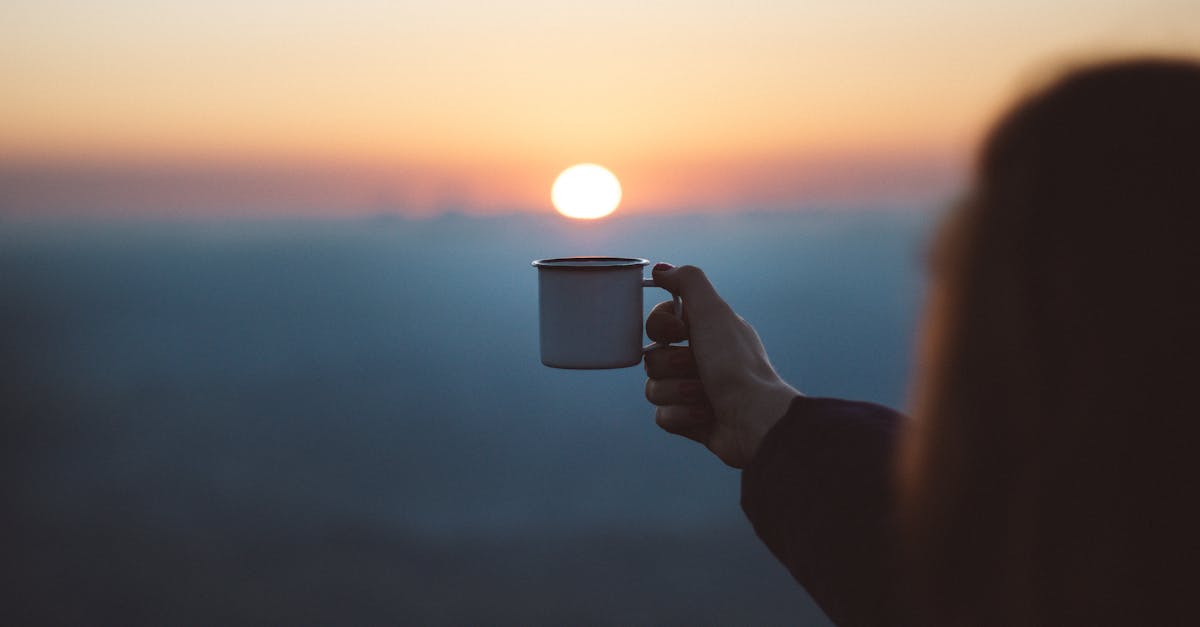 O que significa pov no Instagram e como usar? O que significa pov no Instagram e como usar?