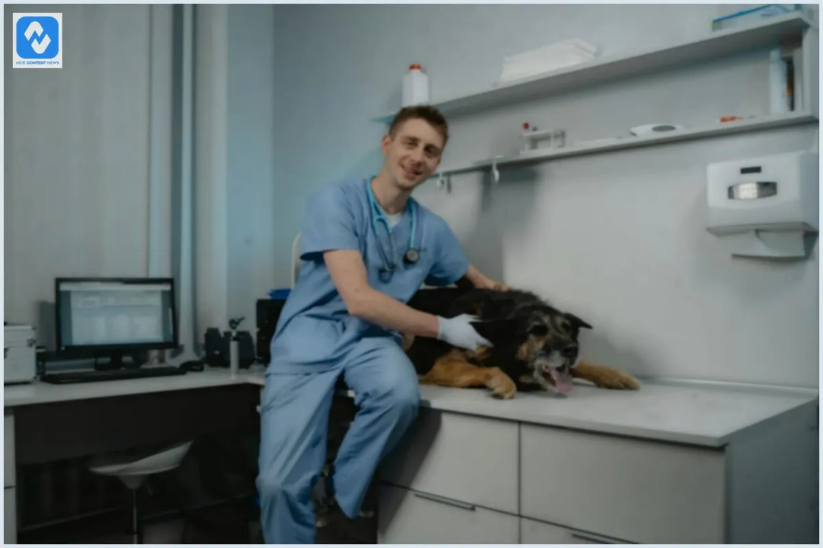 Prescrição Veterinária e DrogaVET: Como a manipulação agiliza e melhora a eficiência dos tratamentos