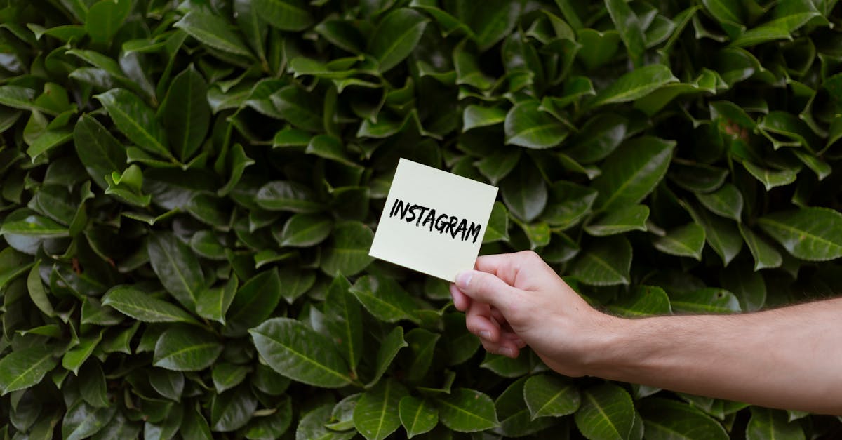 Quanto custa um post patrocinado no Instagram? Descubra! Quanto custa um post patrocinado no Instagram? Descubra!