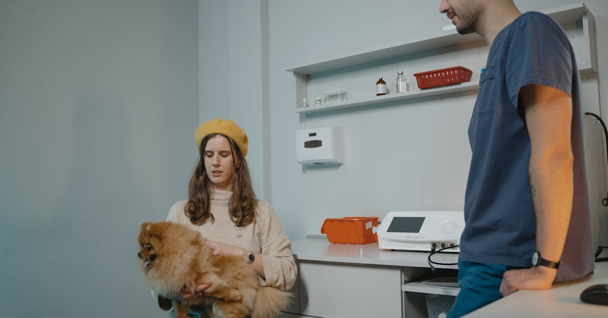 Dicas infalíveis para acalmar seu pet no veterinário Dicas infalíveis para acalmar seu pet no veterinário