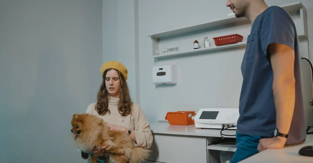 Dicas infalíveis para acalmar seu pet no veterinário Dicas infalíveis para acalmar seu pet no veterinário