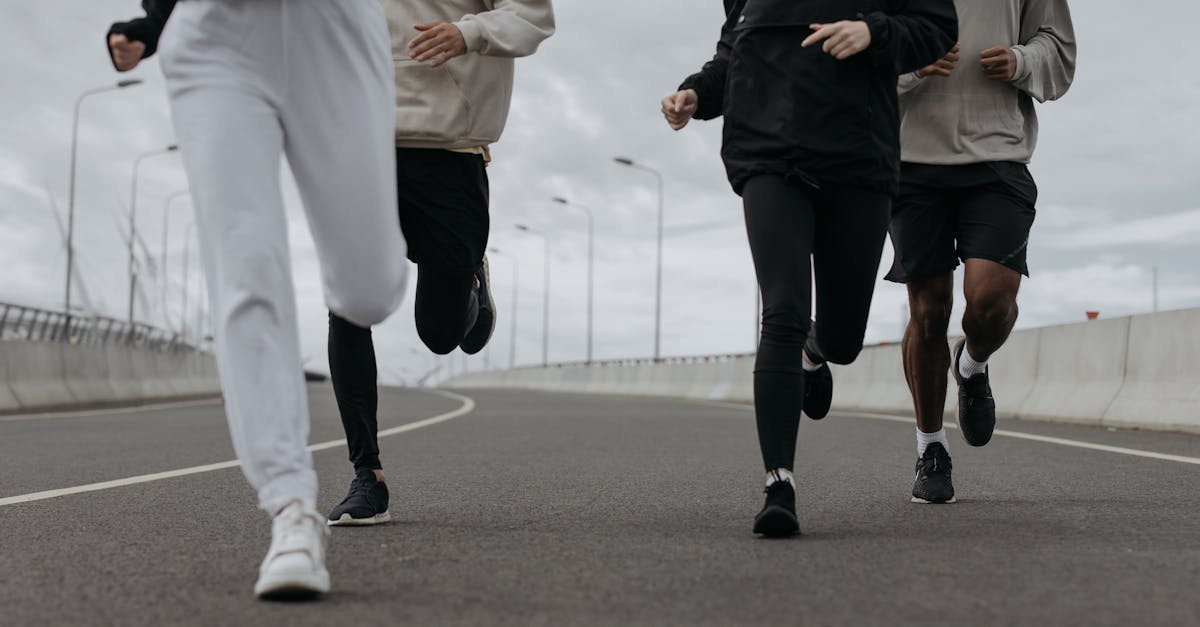 Como criar um programa fitness que você vai amar seguir Como criar um programa fitness que você vai amar seguir