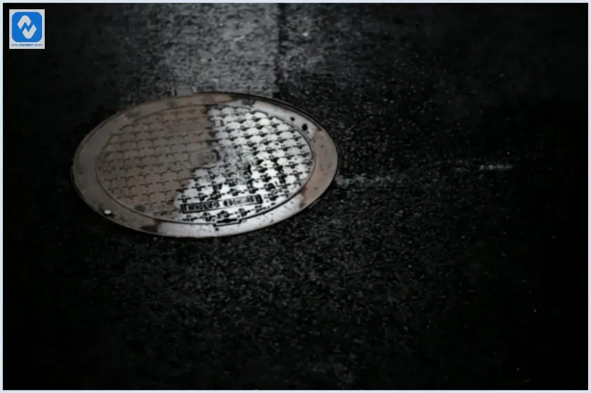 Por que o ralo da sua casa tem cheiro ruim – e como resolver isso