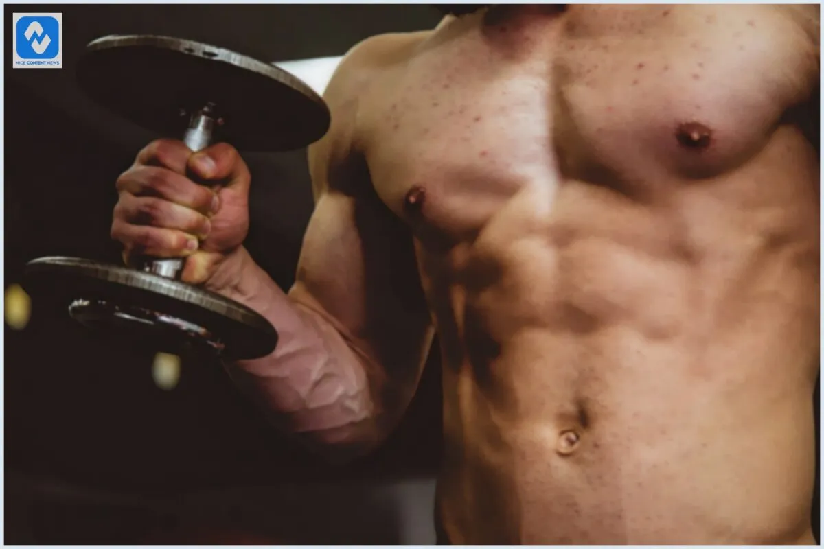 Aparelhos para treinar em casa: Veja os 5 melhores