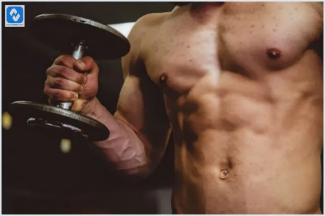 Aparelhos para treinar em casa: Veja os 5 melhores