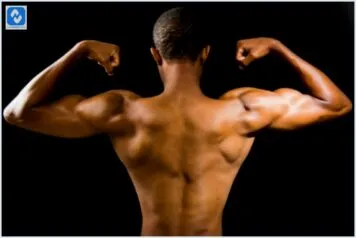 Os alimentos que maximizam a recuperação muscular Os alimentos que maximizam a recuperação muscular